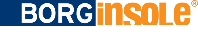 Logo Nl